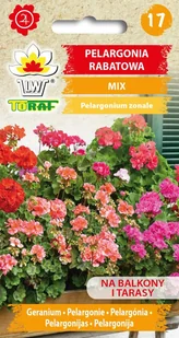 Pelargonia rabatowa mix kolorów nasiona 0,1g Toraf - Nasiona i cebule - miniaturka - grafika 1