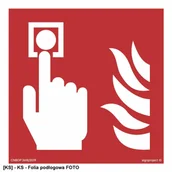 Tablice BHP - TD Systems BF005 - Alarm pożarowy 250x250 - miniaturka - grafika 1