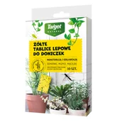 Preparaty na chwasty i szkodniki - Żółte tablice lepowe do doniczek kwiaty domowe i balkonowe 10 sztuk - miniaturka - grafika 1