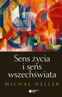 Filozofia i socjologia - Sens życia i sens wszechswiata - miniaturka - grafika 1