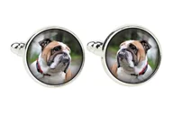 Spinki do mankietów i krawatów - Buldog angielski, Bulldog - spinki do mankietów, ozdoba koszuli, zawieszka do koszuli marki Art-Dog - miniaturka - grafika 1