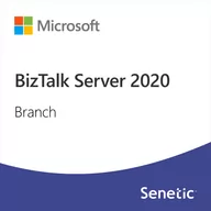 Programy biurowe - Microsoft BizTalk Server 2020 Branch DG7GMGF0G49Z-0002 - miniaturka - grafika 1