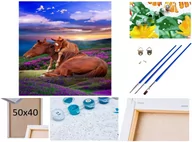 Malowanie po numerach - Malowanie po numerach Obraz Rama Płótno ZESTAW 5w1 KONIE NA POLANIE rodzina koni - miniaturka - grafika 1