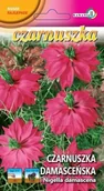 Nasiona i cebule - Czarnuszka damasceńska różowa 1g / L / - miniaturka - grafika 1
