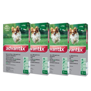 Artykuły przeciw pasożytom - Bayer Advantix dla psów do 4kg pipeta 4x0,4ml) 42462-uniw - miniaturka - grafika 1
