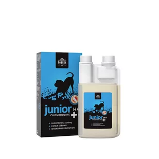 Pokusa FOR HEALTH Chondroline Junior+HA 500ml preparat w płynie wspierający funkcjonowanie stawów u szczeniąt z kwasem hialuronowym 49982-uniw - Suplementy i witaminy dla psów - miniaturka - grafika 1