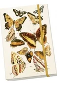 Notesy i bloczki - Notatnik ozdobny A5 STNOTE 132 Motyle - miniaturka - grafika 1