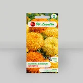 Nasiona i cebule - Aksamitka wzniesiona Fantastic Mieszanka 0,4g - Nasiona - W. Legutko - miniaturka - grafika 1
