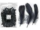 Przybory szkolne - PIÓRKA 16G CZARNE   5-12CM - miniaturka - grafika 1