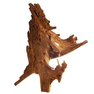 Dekoracje do akwarium - PHILIPPINES CLASSIC DRIFTWOOD - DRZEWO MANGROWCA Z WODY XL 40CM - 50CM - miniaturka - grafika 1