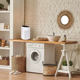 Osuszacz powietrza Osuszacz powietrza Webber DEQ8 - Domowe osuszacze powietrza - miniaturka - grafika 2