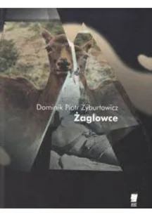 Żaglowce - Poezja - miniaturka - grafika 1