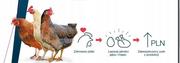 Witaminy i odżywki dla ptaków - Harmonix Red Mite zwalczanie ptaszyńca ptaszyniec - miniaturka - grafika 1
