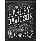 Tablice i flipcharty - 23301 Plakat 30x40 Harley Davidson Eagle - miniaturka - grafika 1