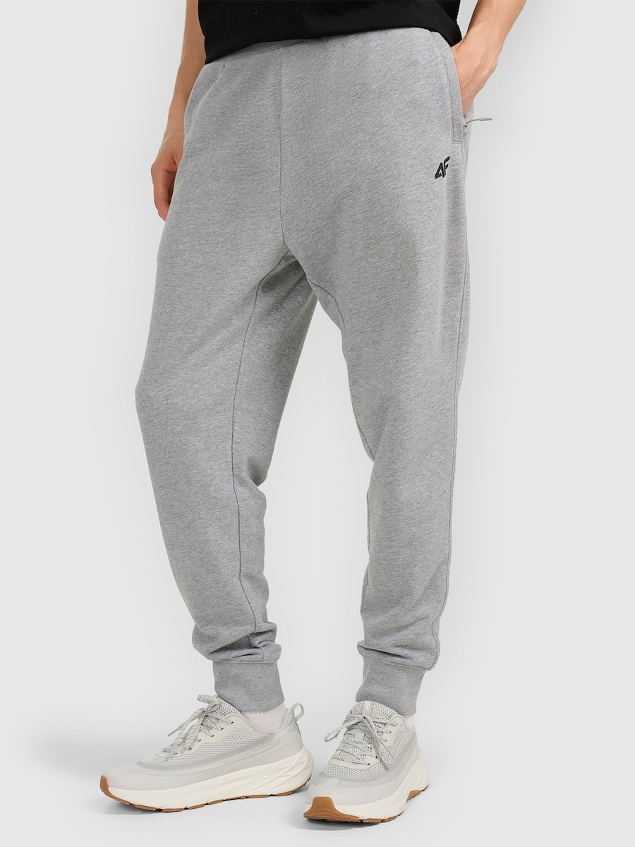 Męskie spodnie dresowe 4F 4FRMM00TTROM1624-27M Szary 3XL