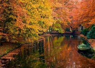 Nice Wall Jezioro w lesie jesienią fototapeta FM0384 - Tapety - miniaturka - grafika 1