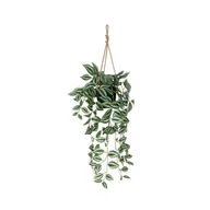 Sztuczne kwiaty - SPLENDID Trzykrotka sztuczna 75cm wisząca - miniaturka - grafika 1