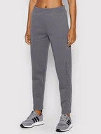 Spodnie sportowe damskie - Calvin Klein Jeans Spodnie dresowe J20J217752 Szary Regular Fit - miniaturka - grafika 1