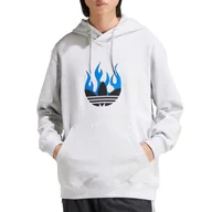 Bluzy sportowe męskie - Bluza adidas Originals Flames Logo IS2947 - szara - Adidas - miniaturka - grafika 1
