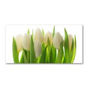 Foto gadżety - Foto obraz szkło hartowane Tulipany - miniaturka - grafika 1