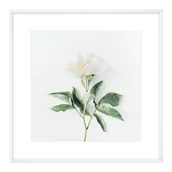 Obrazy i zdjęcia - Zestaw obrazów Kwiaty różowe 20 x 20 cm 3 szt. - miniaturka - grafika 1