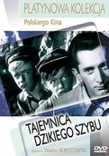 Filmy przygodowe DVD - Tajemnica Dzikiego Szybu [DVD] - miniaturka - grafika 1