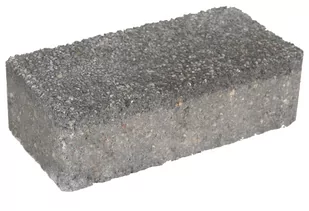 Kostka brukowa Certus Focus 20 jasnoszary granit gr. 6 cm płukana wym.10x20 cm - Kostki brukowe i krawężniki - miniaturka - grafika 1