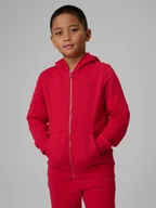 Bluzy dla chłopców - 4F Bluza dresowa regular z kapturem chłopięca - czerwona 164 (13-14 lat) - miniaturka - grafika 1
