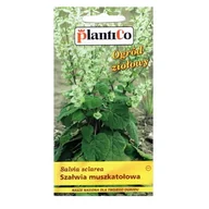 Nasiona i cebule - SZAŁWIA MUSZKATOŁOWA nasiona ziół i przypraw 0,5g - miniaturka - grafika 1