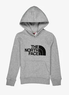 Bluza chłopięca The North Face Drew Peak P/O Hoodie - light grey - Bluzy sportowe męskie - miniaturka - grafika 1