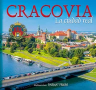 Albumy - historia - zbiorowa Praca Kraków - miniaturka - grafika 1