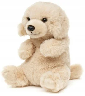 Maskotka Piesek Labrador Siedzący - 17cm - Maskotki i pluszaki - miniaturka - grafika 1