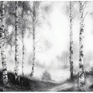 Fototapety - Fototapeta Las Czarno Biały Drzewa Natura 400x280 cm Tapeta Do Sypialni Salonu Kuchni Na Flizelinie - miniaturka - grafika 1