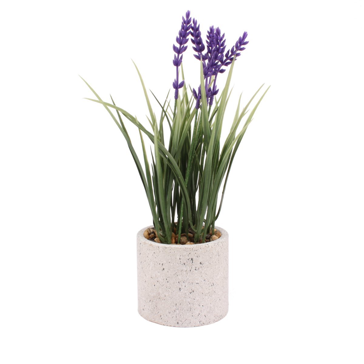 Kwiaty w doniczce 33 cm – lawenda w szarej donicy