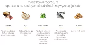 Josera Mini Junior 10 kg - Sucha karma dla psów - miniaturka - grafika 3