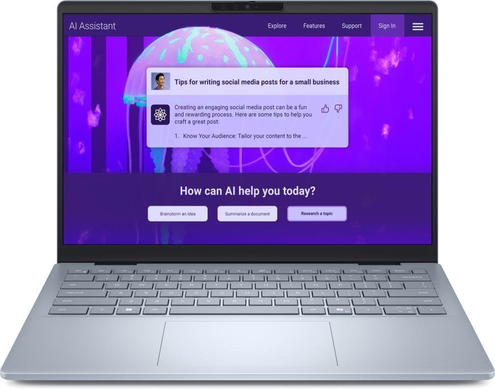 Dell Pro 13 Plus PB13250 13.3