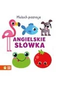 Książki edukacyjne - Angielskie słówka. Maluch poznaje - miniaturka - grafika 1