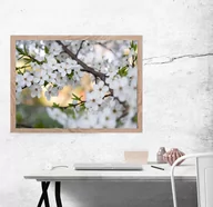 Plakaty - Plakat, Wiosenne kwiaty czereśni, 30x20 cm - miniaturka - grafika 1