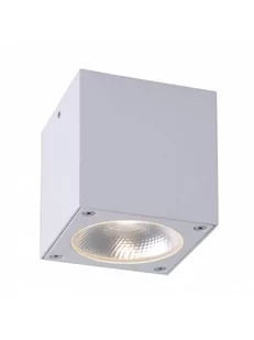 Paul Neuhaus Spot GEORG 9674-16 9674-16 - Lampy ogrodowe - miniaturka - grafika 1