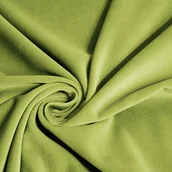 Pasmanteria - Aksamit pistacja -625 - miniaturka - grafika 1