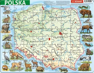 Demart Puzzle ramkowe Polska fizyczna - Puzzle - miniaturka - grafika 1