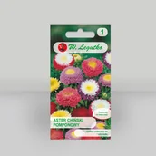 Nasiona i cebule - Aster chiński pomponowy Mieszanka 1,25g - Nasiona - W. Legutko - miniaturka - grafika 1