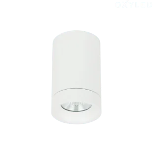 OxyLED Lampa sufitowa BASARO RO IP65 4000K biała 892992 - Lampy sufitowe - miniaturka - grafika 1