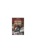 Politycznie poprawna historia Polski - Historia świata Politycznie poprawna historia Polski - Historia świata - miniaturka - grafika 1