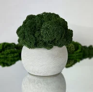 Dekoracje domu - Doniczka z betonu architektonicznego z mchem chrobotkiem fińskim – ręcznie wykonana dekoracja w stylu loft - miniaturka - grafika 1