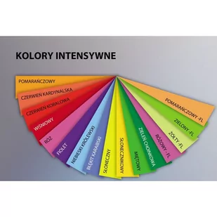 Papier ksero A4 80g TROPHEE pomarańczowy fluo 2978 500ark CLAIREFONTAINEk - Papier do drukarek - miniaturka - grafika 1