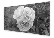 Dekoracje domu - Panel kuchenny HOMEPRINT Róże na tle liści 125x50 cm - miniaturka - grafika 1