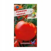 Nasiona i cebule - Pomidor Krakus średniopóźny 0,5g / O / - miniaturka - grafika 1