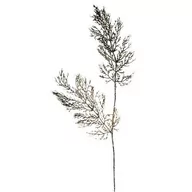 Ozdoby bożonarodzeniowe - Sztuczny liść na łodydze z brokatem, wys. 90 cm, 2 szt. - miniaturka - grafika 1