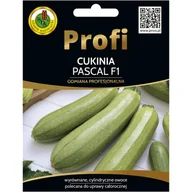 Nasiona i cebule - Cukinia Pascal nasiona 15szt. Pnos - miniaturka - grafika 1